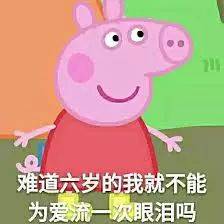 小猪佩奇,假笑boy....2017年最全表情包大赏