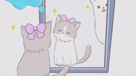 不要和猫比运气