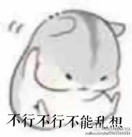 仓鼠夫妻
