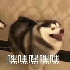 25条半裙推荐,遮肉显瘦还绝美