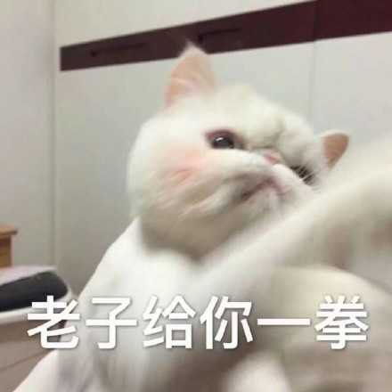 十条段子单身的姑娘哪管有一个眼瞎,我也不能单身二十多年
