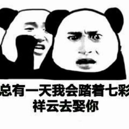 太难了藏狐小亮动图表情包狐主任藏狐小亮动图表情包