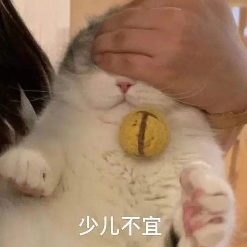 当着亲爸的面打开了男友送的夜光内衣,结果...哈哈哈