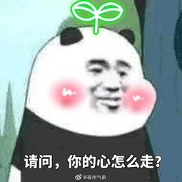 适合520告白的表情包在吗出来谈恋爱