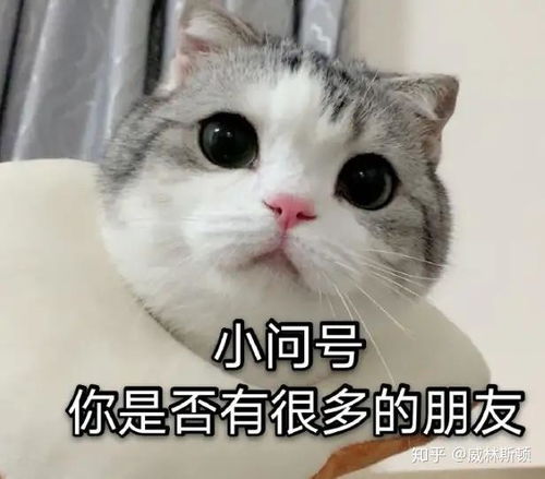 请留下一样你们引以为傲的表情包