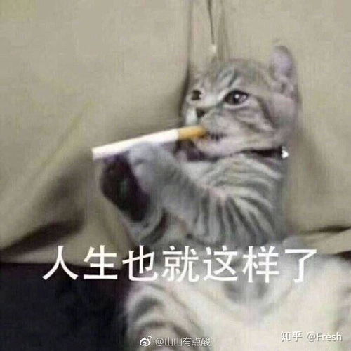 有哪些丑萌表情包