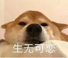小可爱们,接下来35天14个假,这周末还有一份礼物需要签收