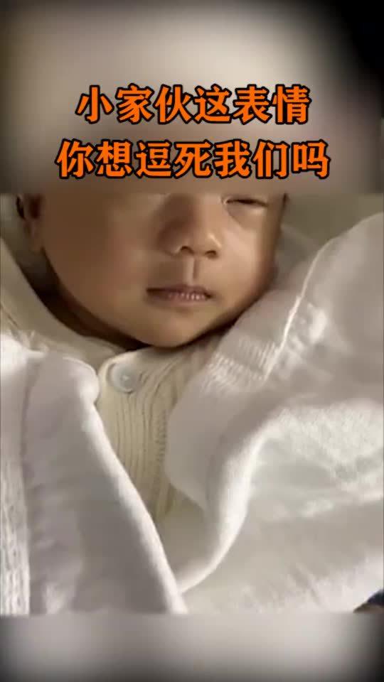 小家伙这表情,当初妥妥的没喝孟婆汤,你想逗死我们吗