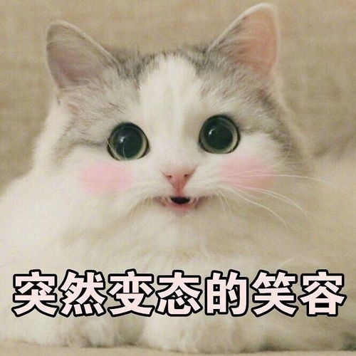 好想聊天呀有没有人想要尬聊嘻嘻