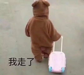 流浪江大是时候学习了