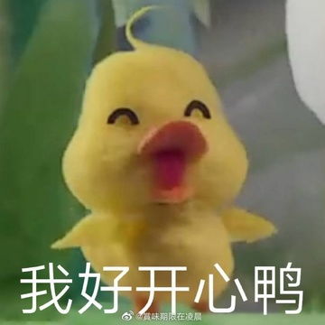 我的收藏