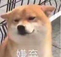 14亿人的厨艺都被禁足逼出来了各位都是料理奇才啊哈哈哈哈
