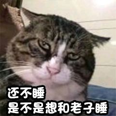 我家猫已经3天没睡我了...