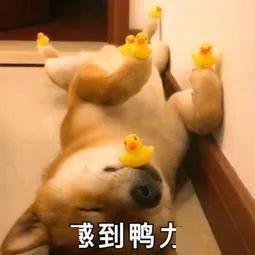 从前vs现在,女生的变化也太大了吧