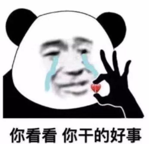 熊猫头表情包i你看看你干的好事

