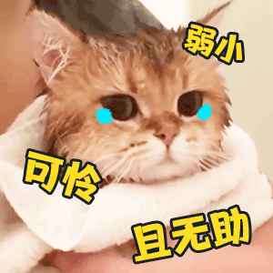 精选萌宠gif表情包做个孤独的舔狗,弱小可怜且无助