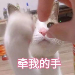 干皮用粉饼会长皱纹但油皮用粉饼却老的慢