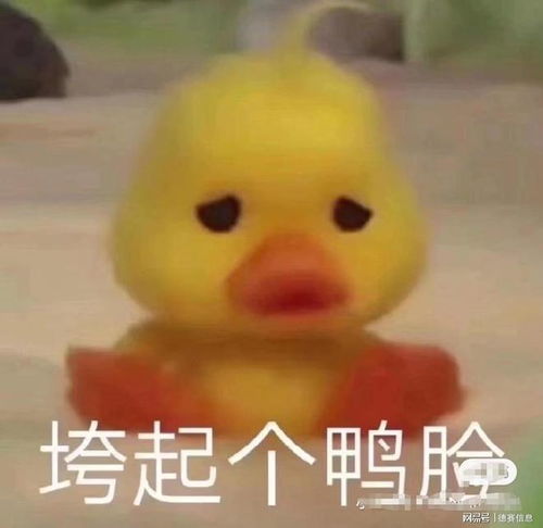 河南女子月饼里吃出金戒指后续,商家回应来了,网友隐藏福利