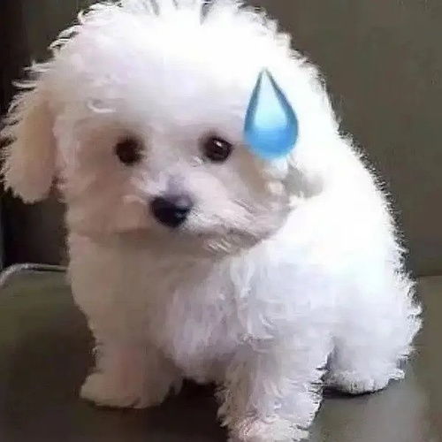 我的收藏