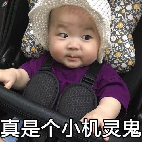 表情包裹紧我的小被子