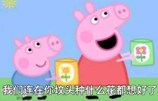 小猪佩奇表情包社会人必备