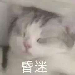 网购鳄鱼被砍一刀后,惊人复活盒马迅速回应...