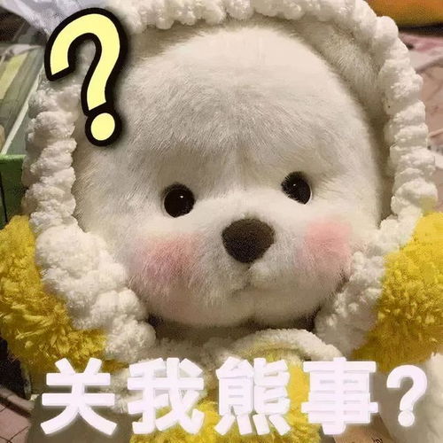 网易订阅