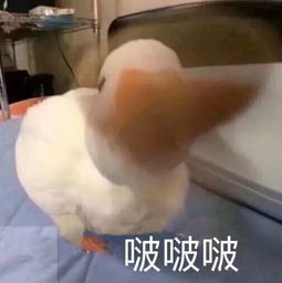 我和老妈在泰国看表演,这无处安放的尴尬,回想起来还是难受