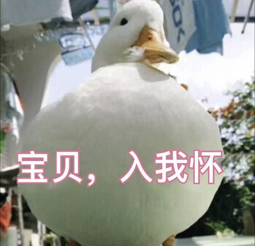 重点教学