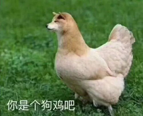 表情包