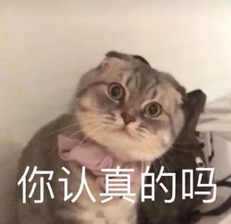 让直男喷血的尤物,下半身让人迷恋,却被质疑翘臀造假....
