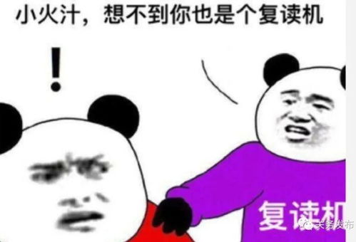 海关法商检法双双修订,但咱还从海关发布声明说开去,附知识产权问答