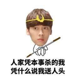 李易峰王者荣耀表情包走大哥带你上王者
