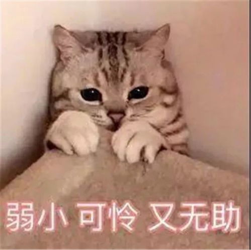 潮州人最厌烦的天气要来了这份实用攻略教你应对出水天气