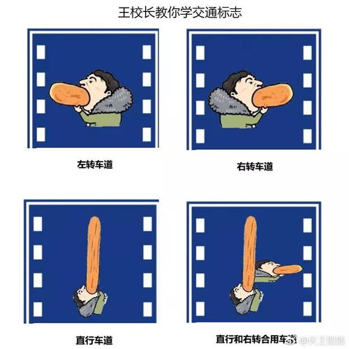 哈哈哈,思聪老公成了年度最佳表情包
