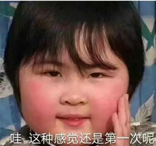 警报大型虐狗事件全面爆发......