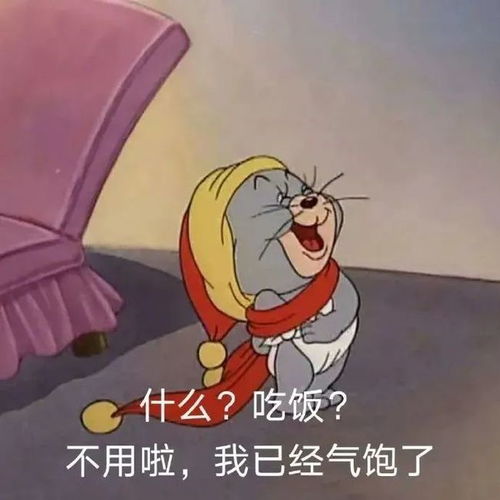 分享一组搞笑达人表情包
