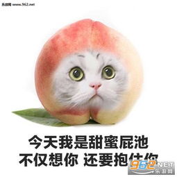今天我是开心阿婆没有理由就是傻乐表情包今天我是臭屁慢狗我不流泪只是骂人水果动物表情包下载乐游网游戏下载