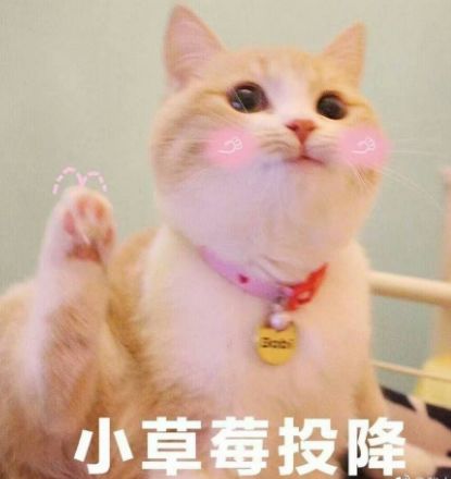 lol最容易形成碾压的装备,第1最重要,否则神装都杀不了人