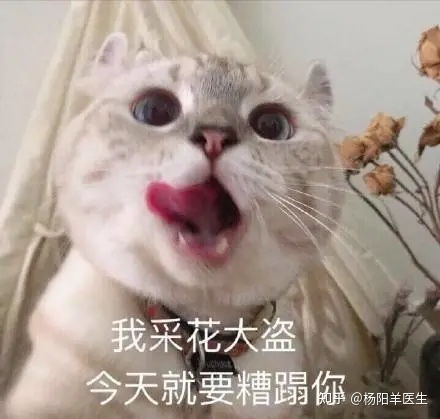 二次元表情包斗图必备中枪