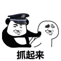 抓起来最近流行的当场逮捕表情包斗图表情
