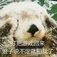 寻娘子记之水獭表情包可爱搞笑当媳妇没有回消息的时候腾牛个性网