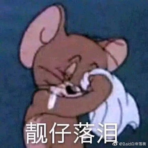 我的收藏