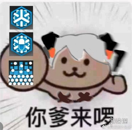 秘籍表情包表情包