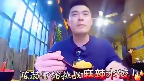 陈赫的经典表情真的厉害了