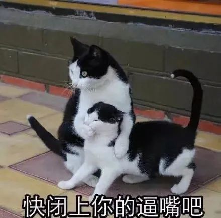 潮图表情包搞笑的表情我爱我的钱