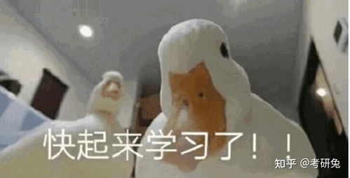 六月份了考研数学应该怎么进行