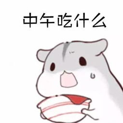二十多岁的人,整天都在想些什么