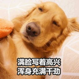 没有凉面,算什么夏天这么做我能吃下三大碗
