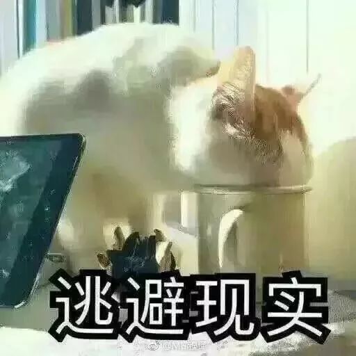 好想你表情包图集想起我